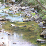 春の美濃焼伝統工芸品まつり2017