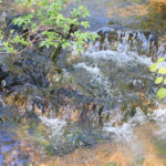 春の美濃焼伝統工芸品まつり2017