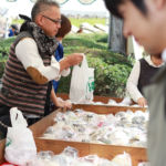 美濃焼伝統工芸品まつり2016