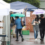 織部ヒルズオータムフェア2017