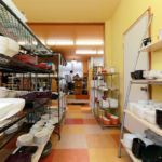 primitive陶舎 花*花