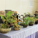 織部ヒルズオータムフェア2017土岐口工業・手づくりパン やまぼうし