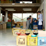 織部ヒルズオータムフェア2017結彩の蔵