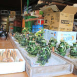 下石どえらぁええ陶器祭り2016