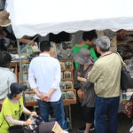 土岐美濃焼まつり2017