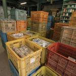 下石どえらぁええ陶器祭り2017