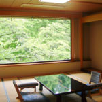 山神温泉 湯乃元館