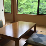 山神温泉 湯乃元館