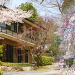 山神温泉 湯乃元館