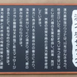 よりみち温泉(土岐温泉)