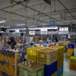 カネコ小兵製陶所