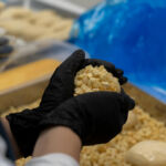 小麦の奴隷土岐店