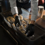 小麦の奴隷土岐店