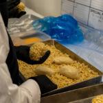 小麦の奴隷土岐店