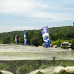 ブルーベリーファーム瑞浪