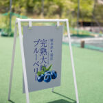 ブルーベリーファーム瑞浪
